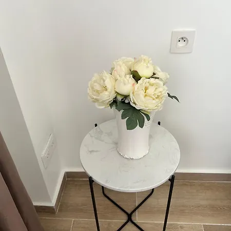 דירה De Reve Au Soleil Parfaite Pour Un Sejour A 4 ניס