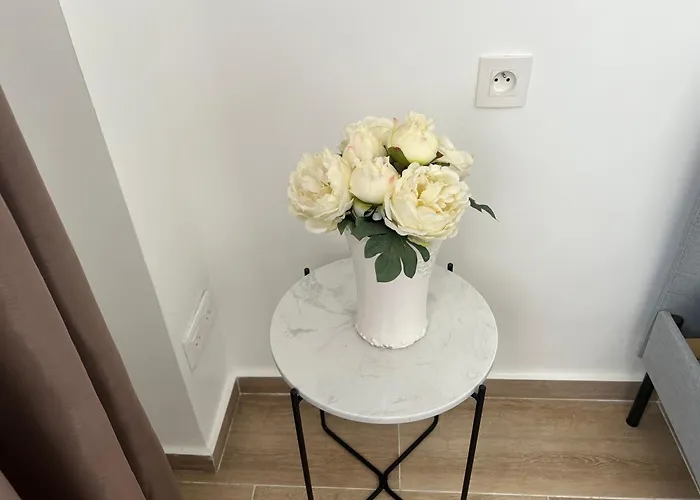 Apartament De Reve Au Soleil Parfaite Pour Un Sejour A 4 Nicea
